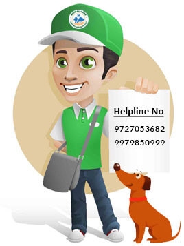 Animal Helpline Ahmedabad | Animal Helpline Number Ahmedabad