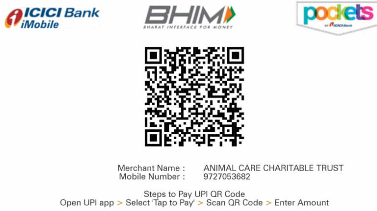 Donate - Animal Helpline Ahmedabad | Animal Helpline Number Ahmedabad